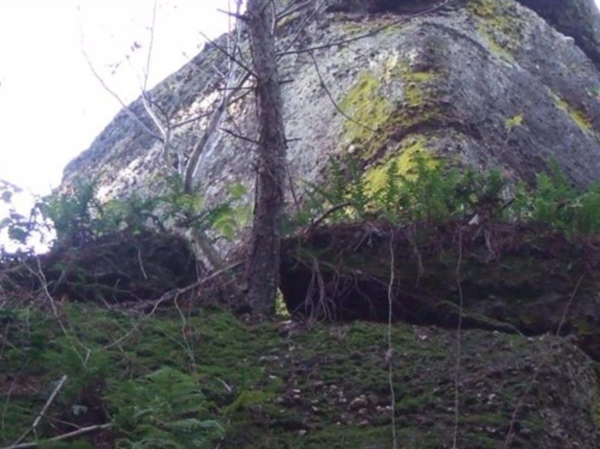 Auberge D'Hotes L'Instant Le Hohwald Luaran gambar