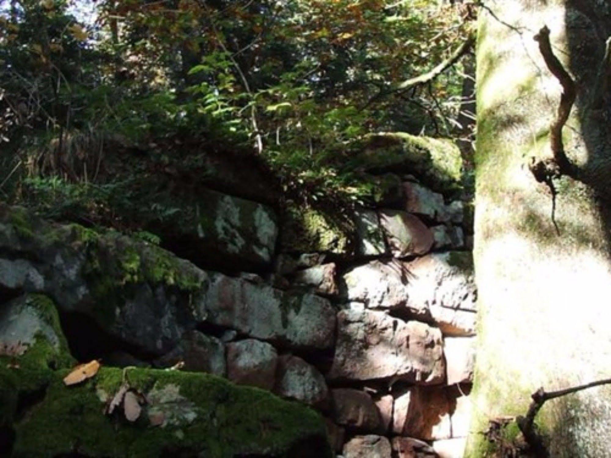 Auberge D'Hotes L'Instant Le Hohwald Luaran gambar
