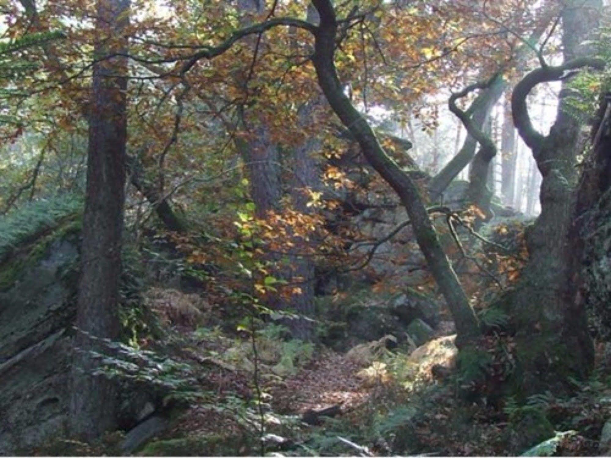 Auberge D'Hotes L'Instant Le Hohwald Luaran gambar